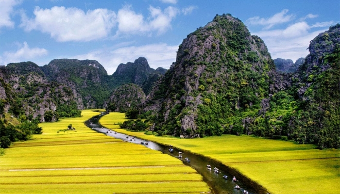Photo de paysage: Les plus belles rizières du Vietnam