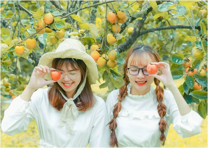 Découvrir la saison dorée de Dalat decouvrir_saison-doree_dalat