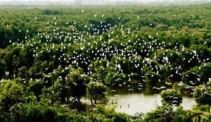 jardin_oiseaux