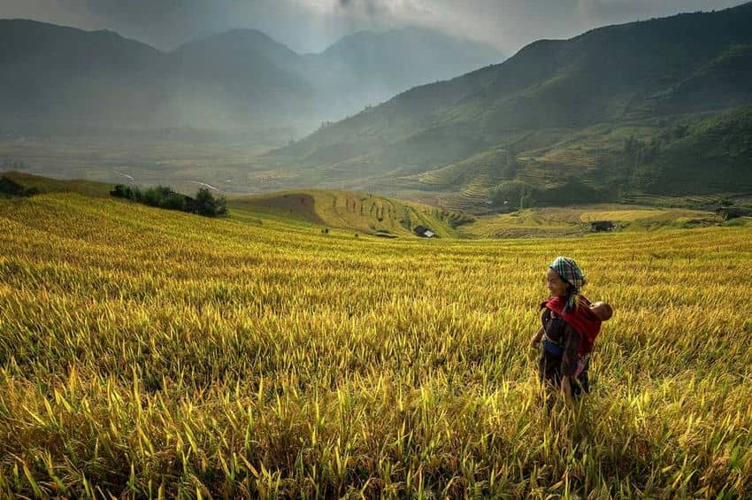 trek-mu-cang-chai-guide-francophone