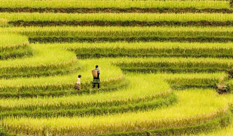 top-10-destinations-hors-des-sentiers-battus-au-vietnam