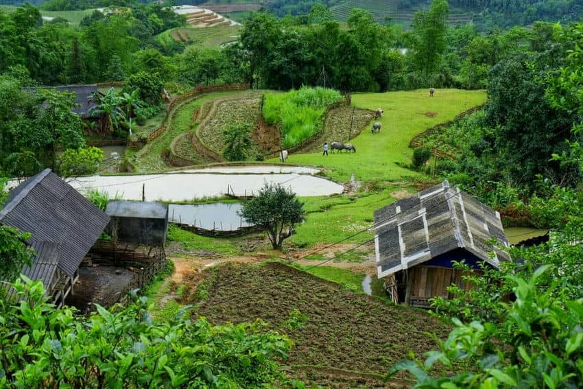 trekking-au-Vietnam-question-reponse