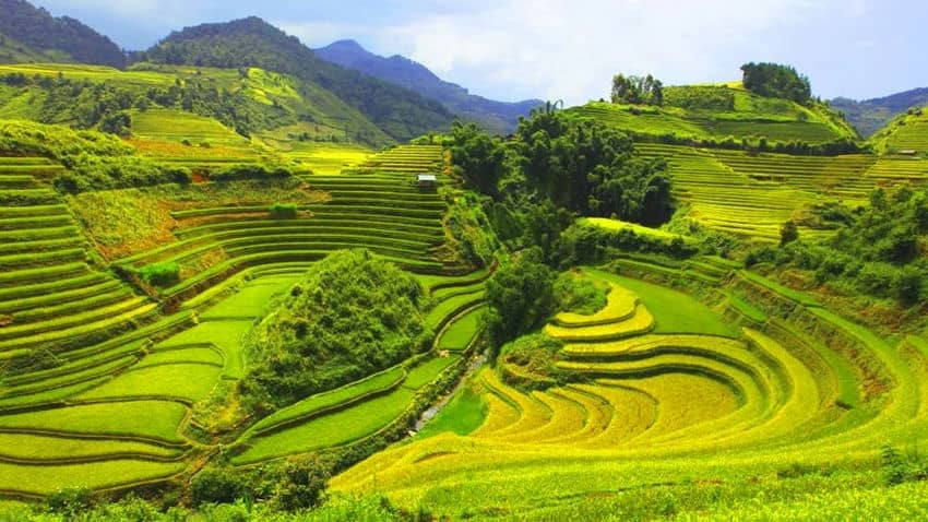 reserve-naturelle-de-pu-luong-randonnee-et-authenticite