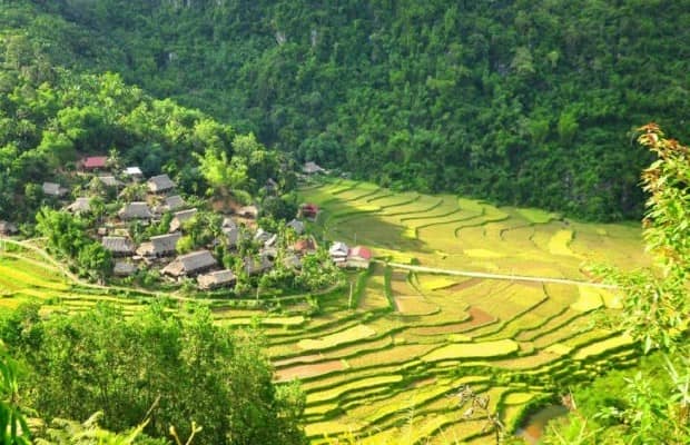 reserve-naturelle-de-pu-luong-randonnee-et-authenticite