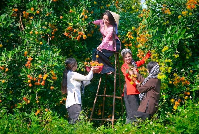 ben-tre-vietnam