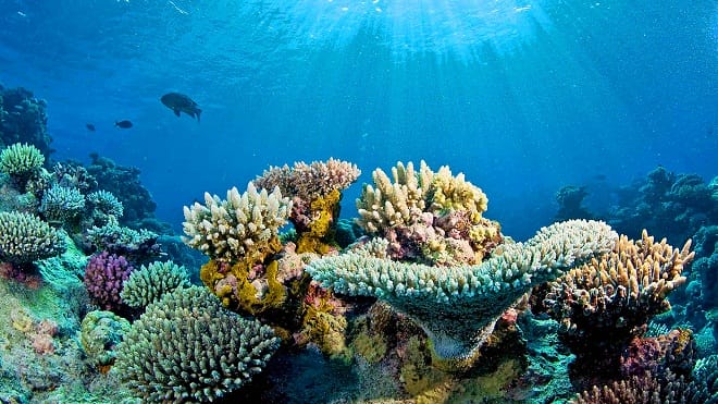oceaniegraphie-nha-trang-aquarium