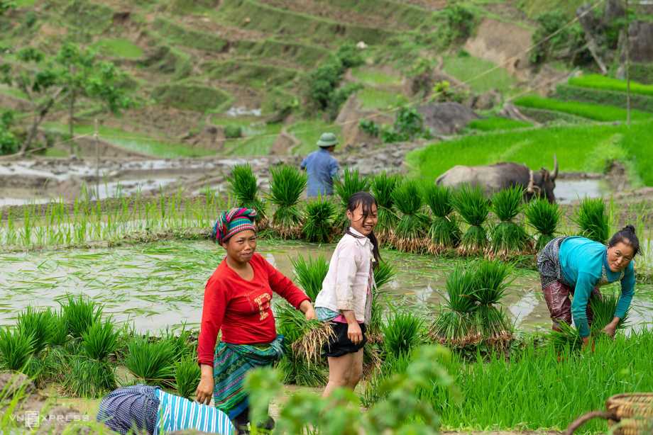 ancienne-route-pavee-de-pavi-de-pres-de-100-ans-a-lao-cai-vietnam