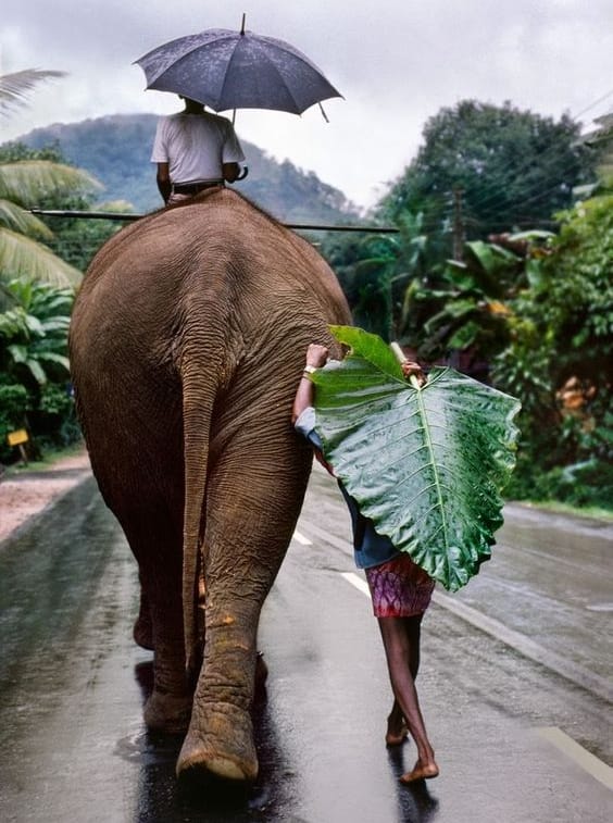 la-saison-de-pluie-en-thalande
