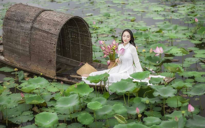 top-10-plus-beaux-sites-au-vietnam-pour-admirer-les-fleurs-de-lotus