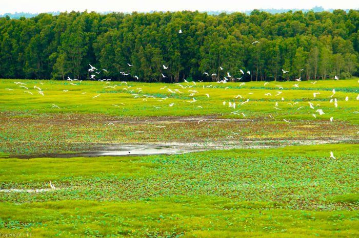 site-ecotouristique-de-Gao-Giong-a-Dong-Thap