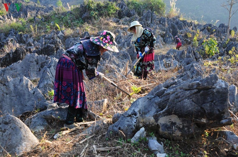 a-la-decouverte-du-haut-plateau-karstique-de-tua-chua