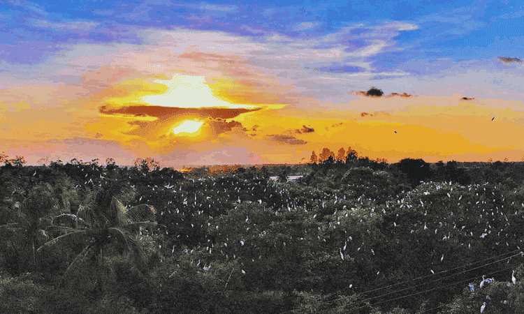 soc-trang-top-10-destinations-hors-des-sentiers-battus-au-vietnam