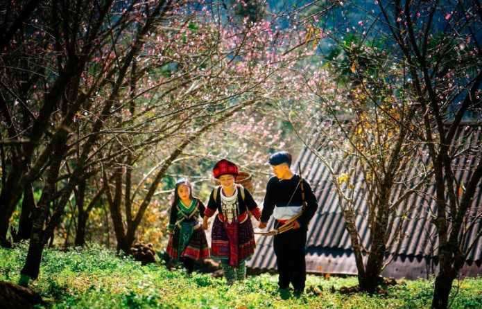 top-15-des-plus-beaux-villages-au-vietnam-du-nord-au-sud