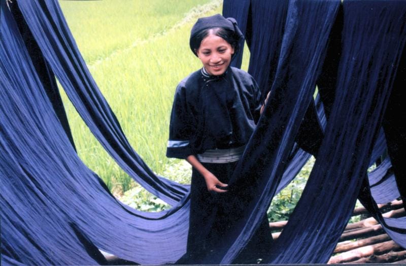 Les-femmes-minoritaires-vietnam-costume