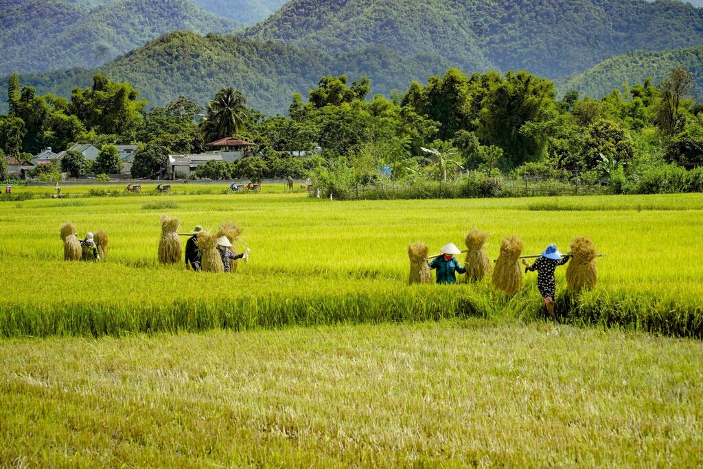 top-10-des-meilleures-choses-a-faire-a-dien-bien-phu