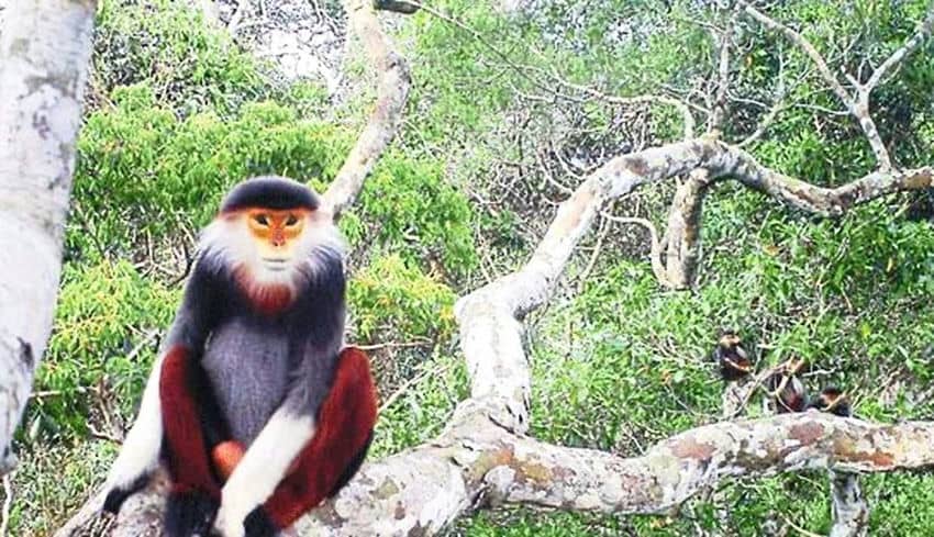 decouverte-nature-voyage-authentique-laos