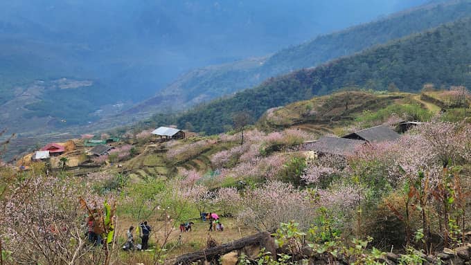 ancienne-route-pavee-de-pavi-de-pres-de-100-ans-a-lao-cai-vietnam