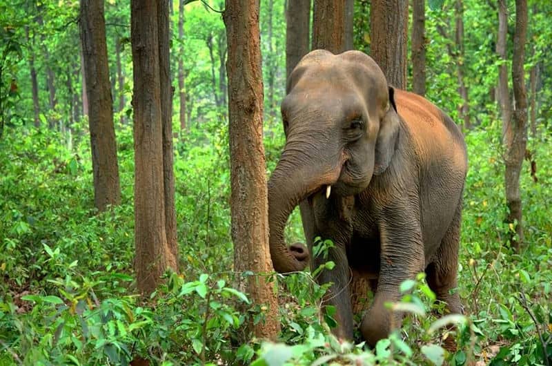 le-parc-national-erawan-kanchanaburi