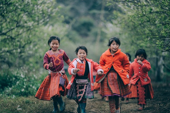 decouverte-du-parc-national-de-hoang-lien-a-lao-cai