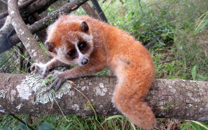 decouverte-du-parc-national-de-hoang-lien-a-lao-cai