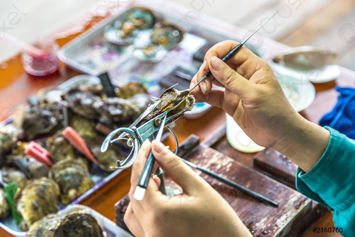 ou-peut-on-visiter-les-fermes-perlieres-au-vietnam