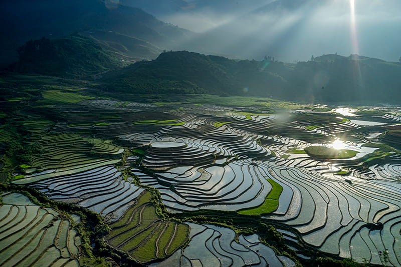 ou-admirer-les-plus-belles-rizieres-au-vietnam-en-mars