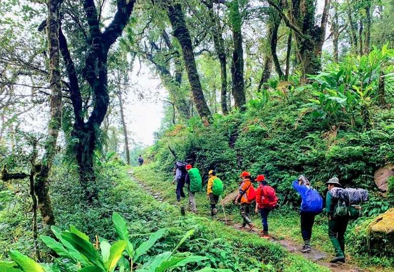 ancienne-route-pavee-de-pavi-de-pres-de-100-ans-a-lao-cai-vietnam