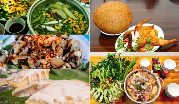 foret-de-cajeputiers-de-tra-su-un-paisible-paradis-naturel