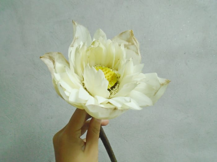 textile-soie-de-lotus-vietnam